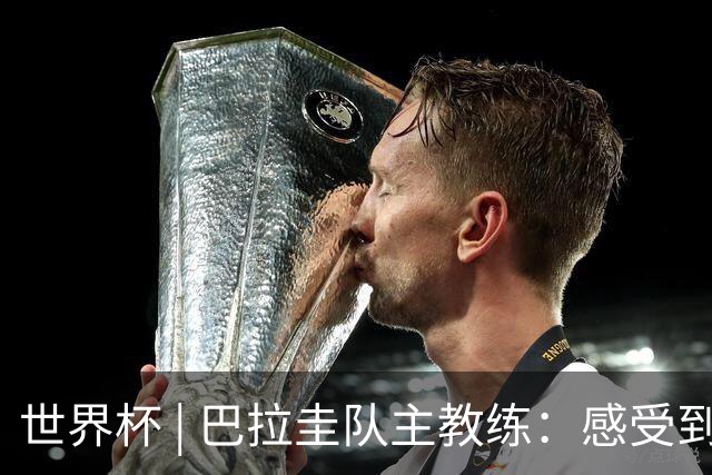 世界杯 | 巴拉圭队主教练：感受到比赛的极致压力
