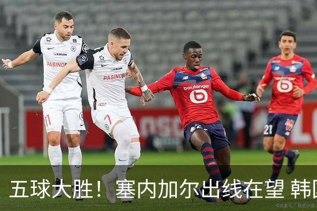 五球大胜！塞内加尔出线在望 韩国晋级仅剩理论希望