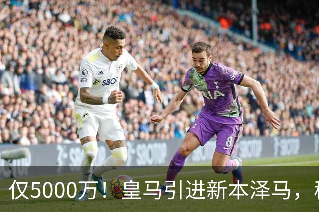 仅5000万！皇马引进新本泽马，穆帅4231战术升级，瞄准西甲欧冠双冠