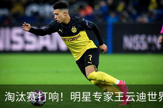 淘汰赛打响！明星专家王云迪世界杯7连红领衔红单
